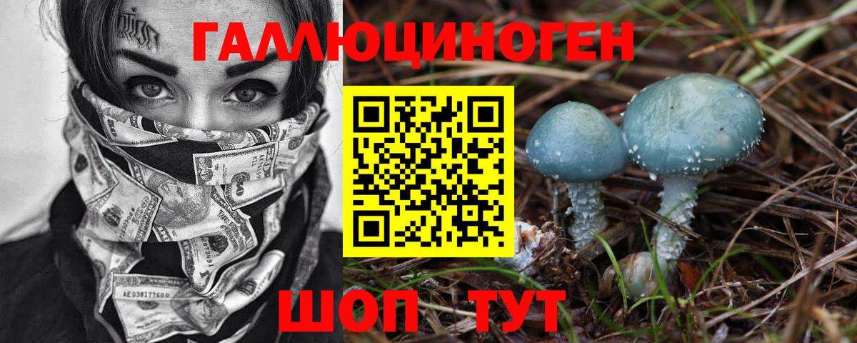 Псилоцибиновые грибы Cubensis Великий Устюг