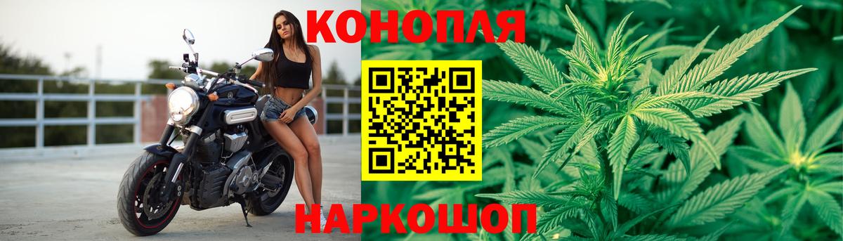 Канабис ГИДРОПОН Великий Устюг